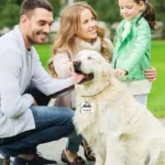 5e46327bc16a9ce86cf0cbb4c44e64d9 (1)