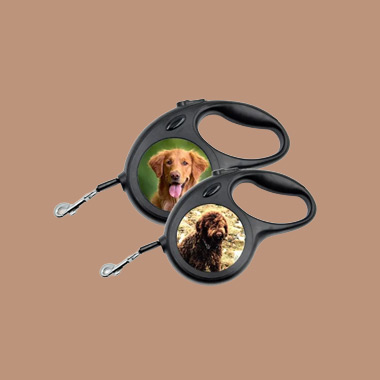 Κατοικίδια